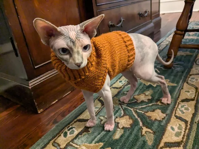 Marlena Monday - Sweater edition by conkledonkle2