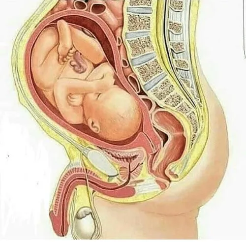 Mature “Daddy” seeking sissy to chat about marriage and having my baby. posted by SignificantReview762