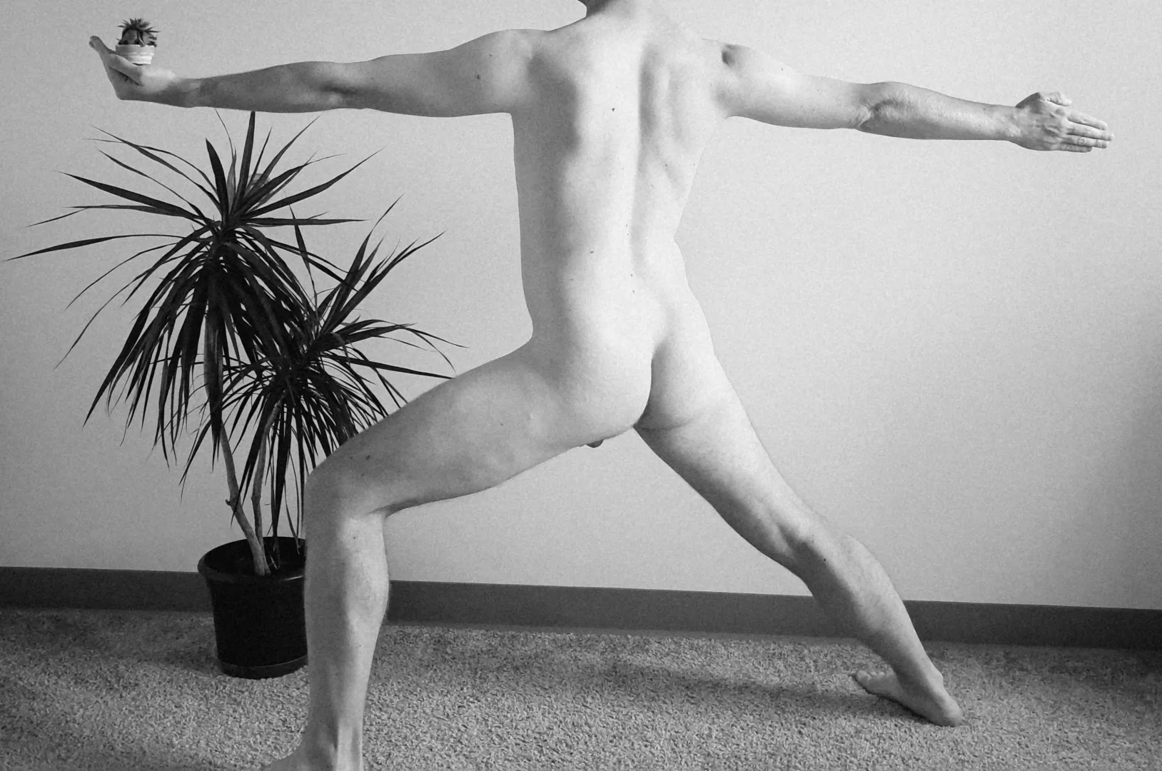 [M]ay I offer you a succulent? posted by -interstellar_burst-