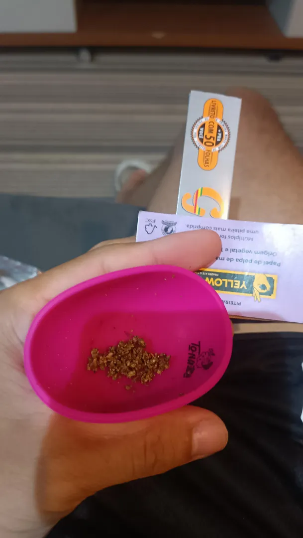 Me chamam de boy só pq eu me recuso a pegar prensado posted by mupy01