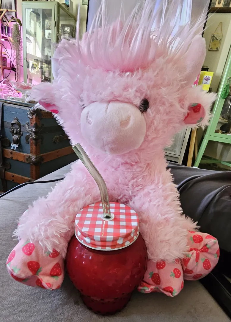 Meet Dolly posted by TrashPandaPrincess93