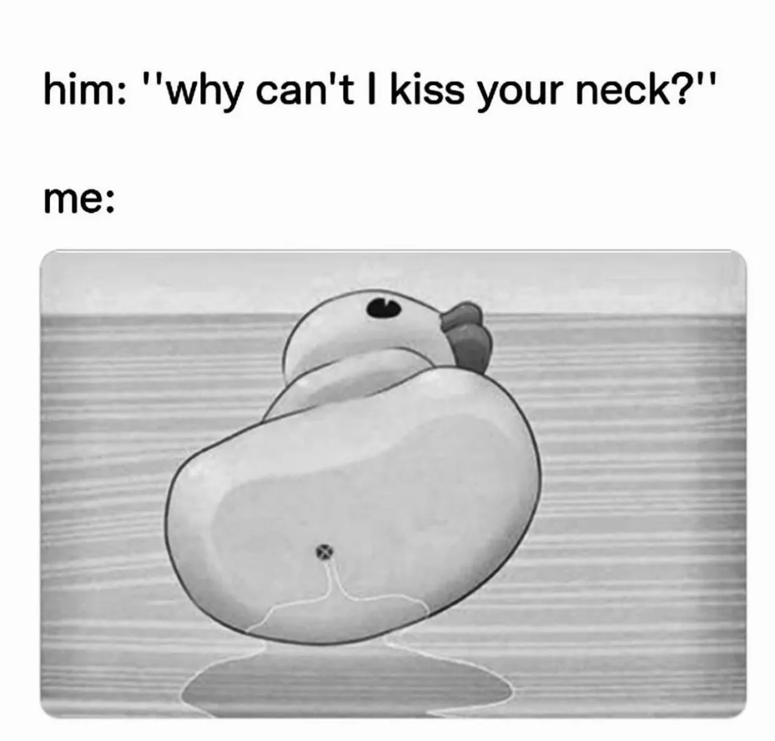 [Meme] And this is exactly what happens. posted by valeriethinevalkyrie