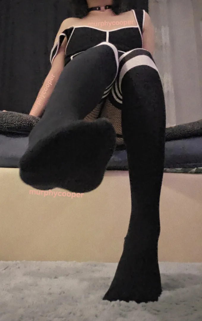 meow  posted by Direct-Brother-1736