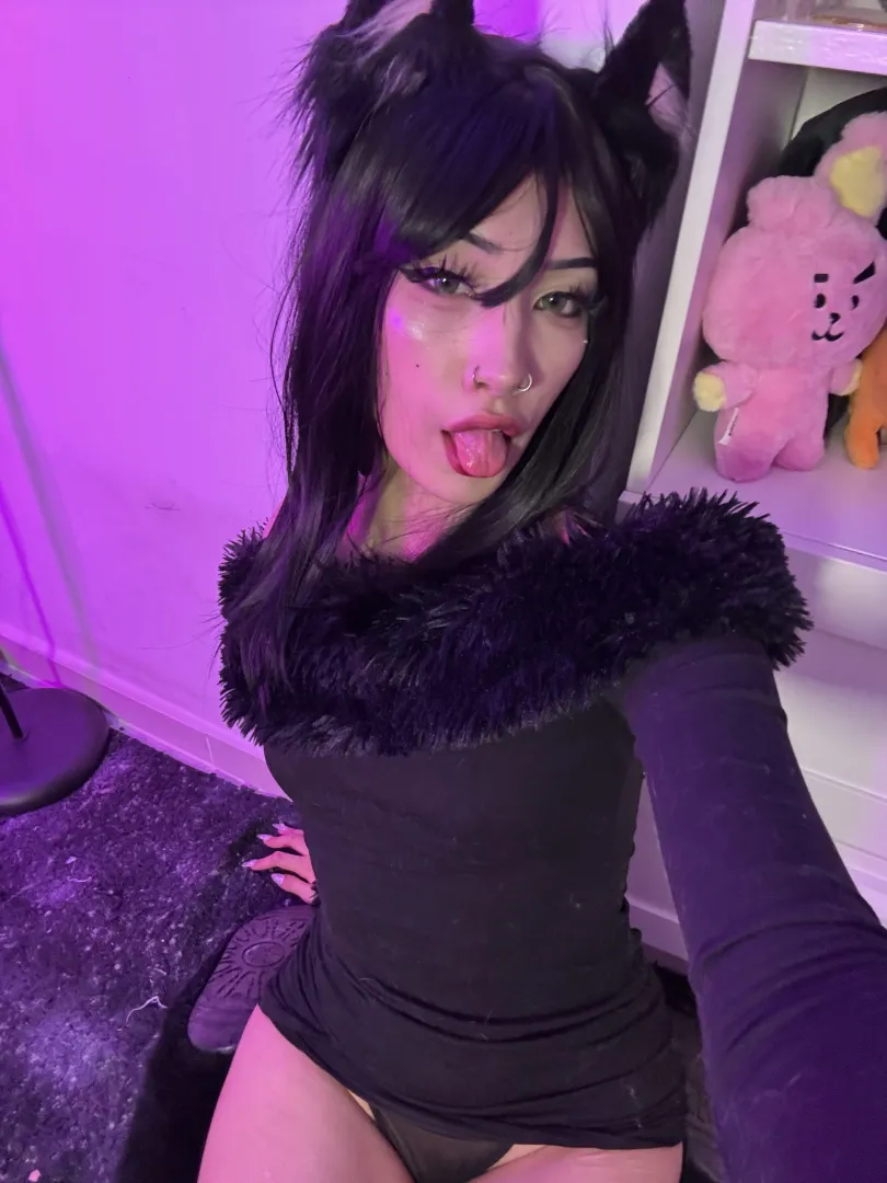 Meow-ster, what tricks does your needy petite pet need to master to be the very best? posted by ElaraMason