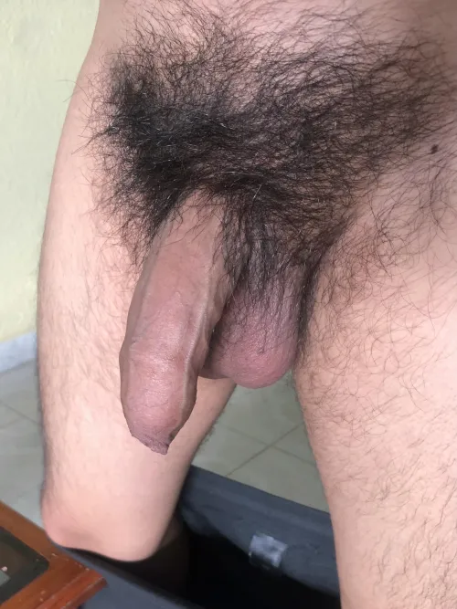 Mi verga jarocha by CamoteThrowaway