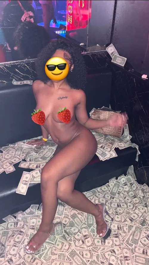 miami spring break by Equivalent-Class2624