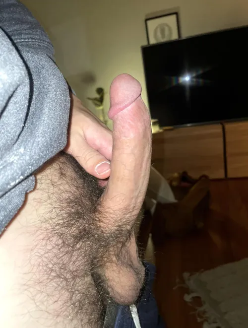 Midwest cock by shadowbreather1