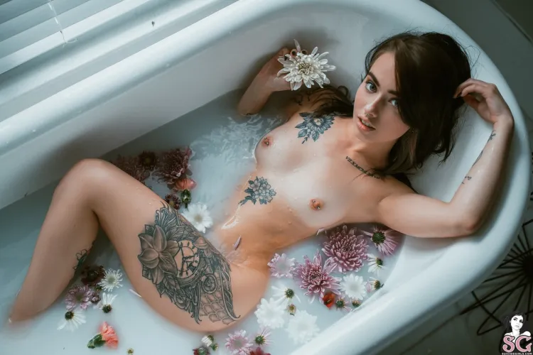 Milk - Vyne  by SGModels