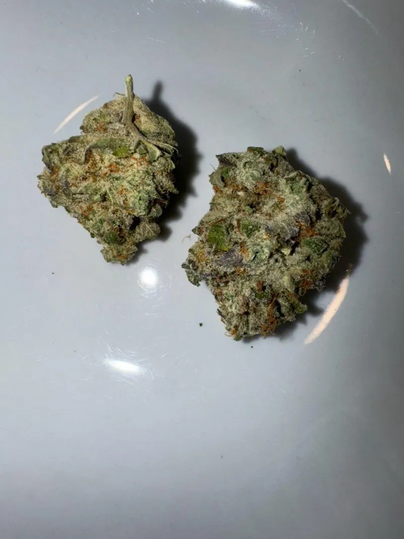 Mimosa posted by Present_Session_1801