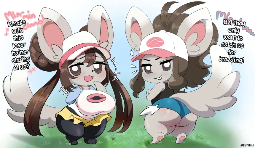 Mincinno Rosa and Hilda (Ecchitrail) by Ecchitrail