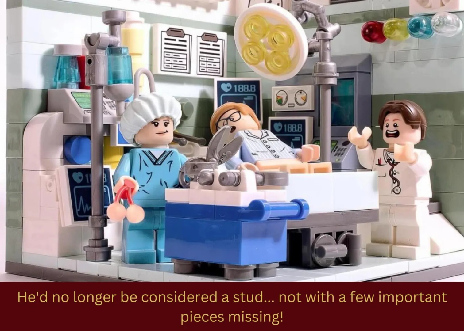 Missing a few pieces... posted by Neutermenow