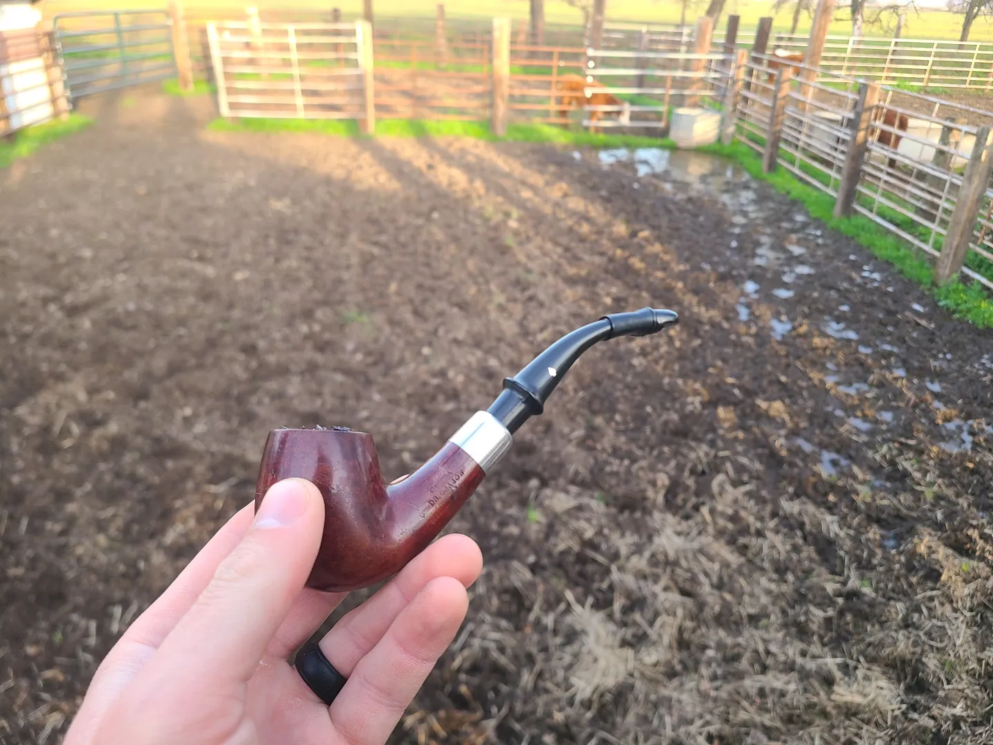 MM pipe had better flavor than my Dr grabow posted by Competitive_Dog_7829