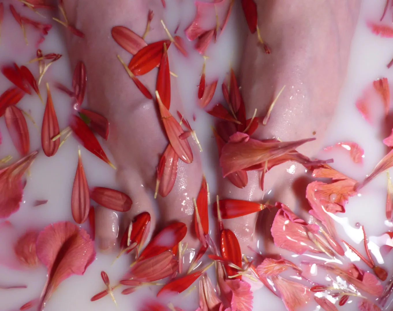 Moment de bien être ☺️ posted by Suzanne_Tamara4feet