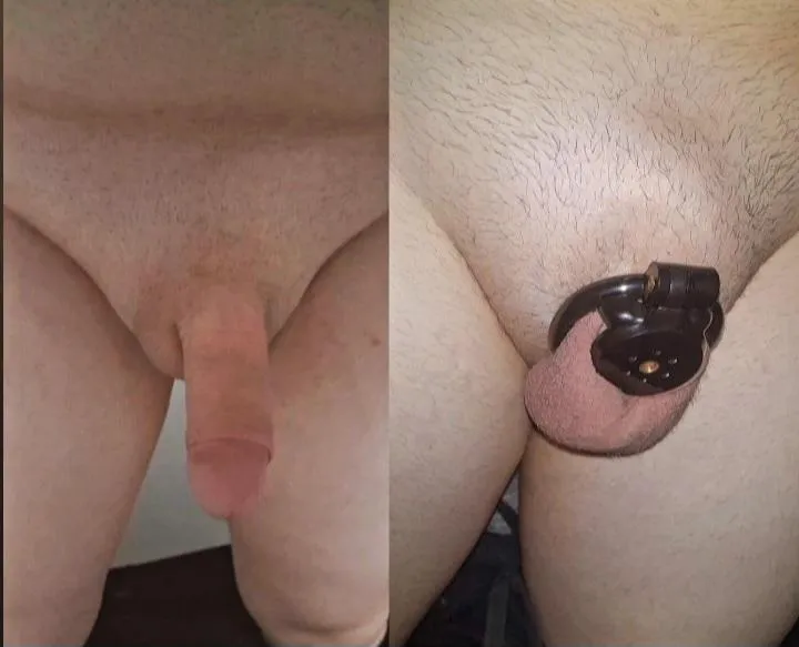 Mon clito de femelle est plus beau dans quel état ? posted by Miserable_Aioli4926