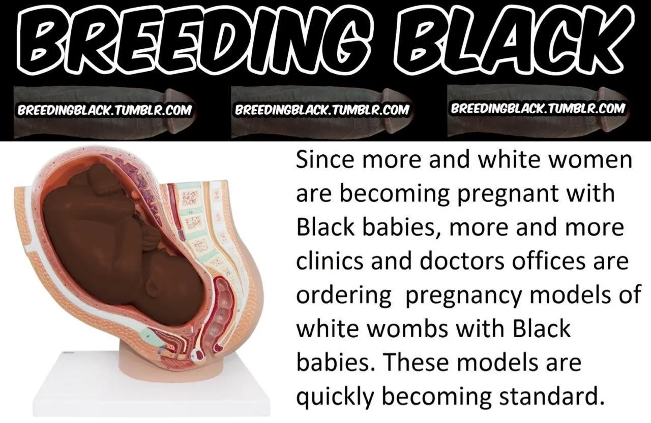 More and white women are becoming pregnant with Black babies posted by hansenfjotolf