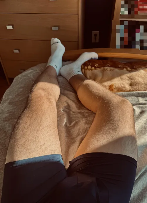 More legs in the sunlight  by theaibatman