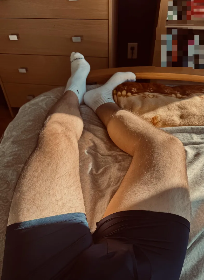 More legs in the sunlight  posted by theaibatman