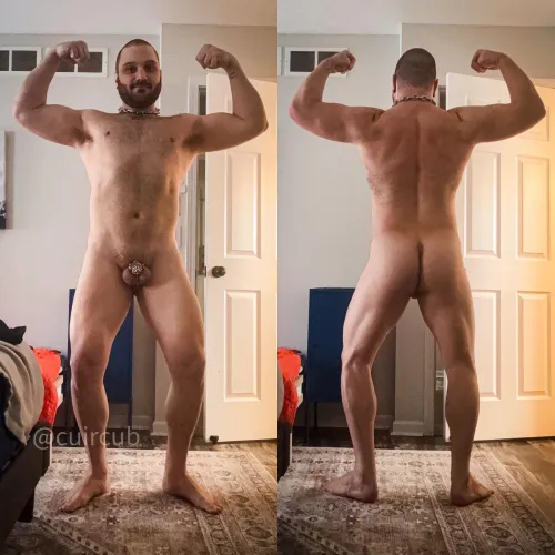 More progress from His training program by cuircub