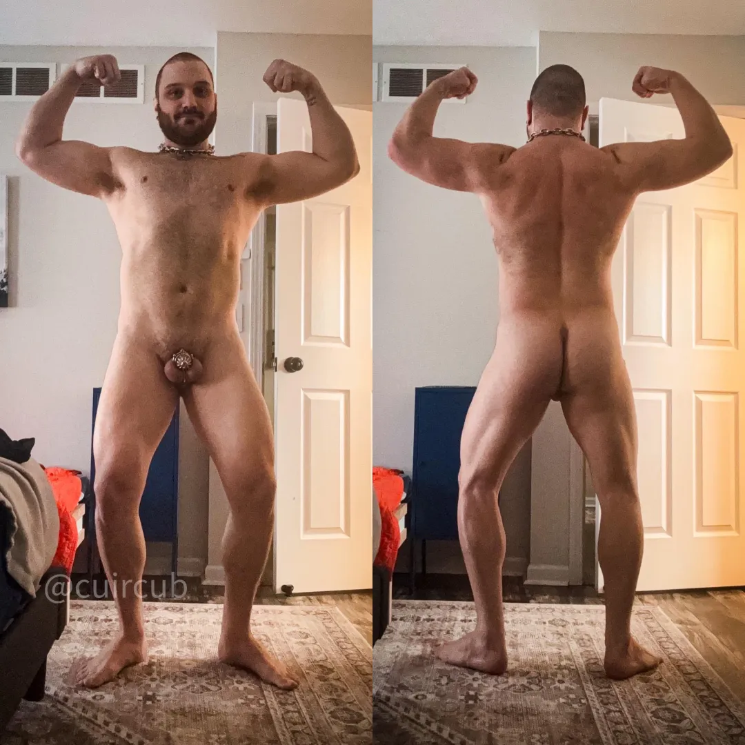 More progress from His training program posted by cuircub