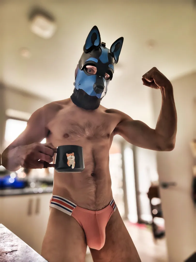 Morning coffee ☕ posted by BeardWoof1337