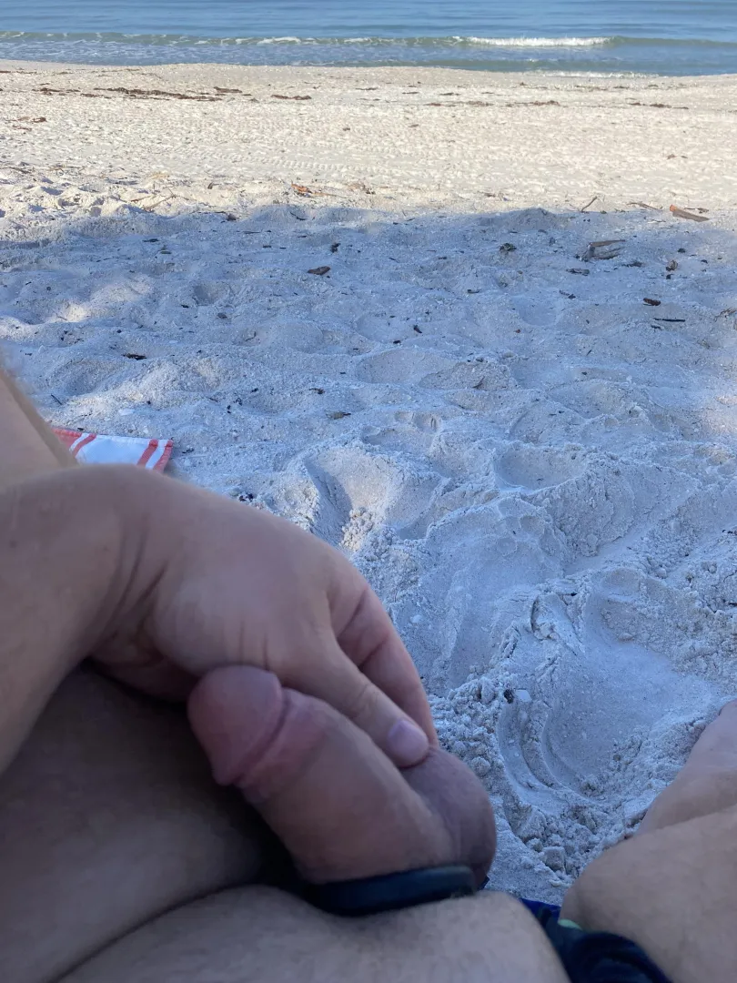 Morning dick on the beach posted by bearnecessiti13