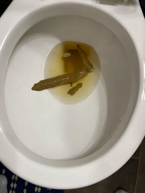 Morning dump by Risingsun0086