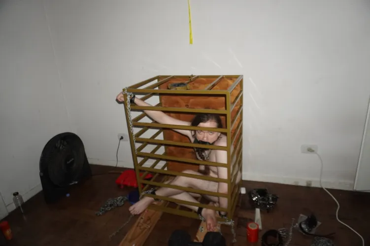 morning! just coming in to see how the training is going. no? no reaction? wow this really is breaking you, isn't it? don't cry, your punishment will be over in a couple days and you'll get some bread while i wash the dick gag. but unfortunately the c by cruel_captive