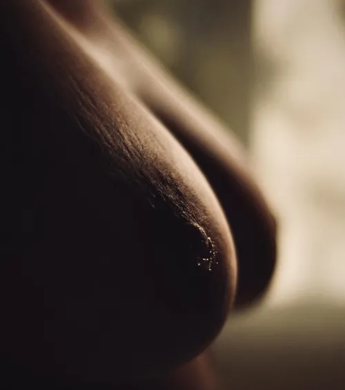 Morning light by Inevitable-Row-1191