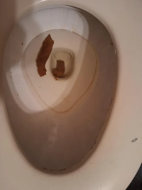 Morning shit by Fun_Growth2205