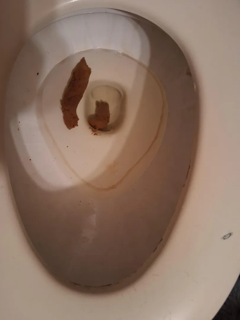 Morning shit posted by Fun_Growth2205