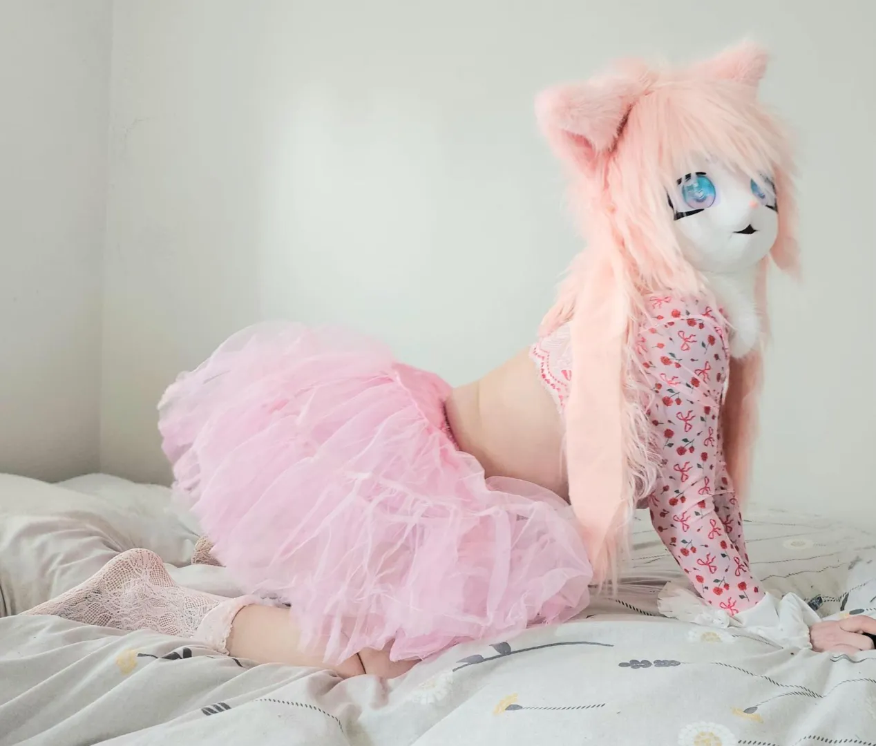 Morning stretches .... posted by velvetkitty123