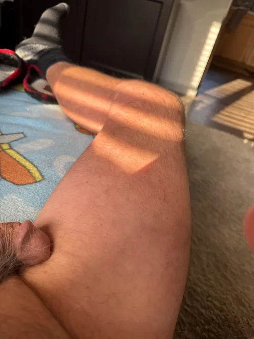 Morning sun  by MichMade2611