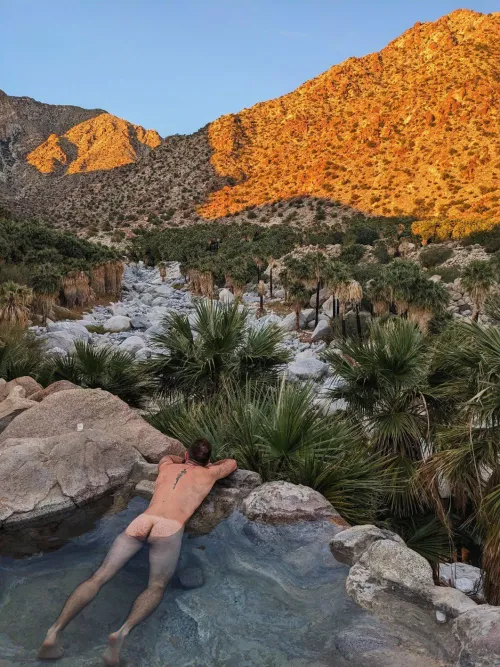 Morning vibes by ButterscotchOk5247