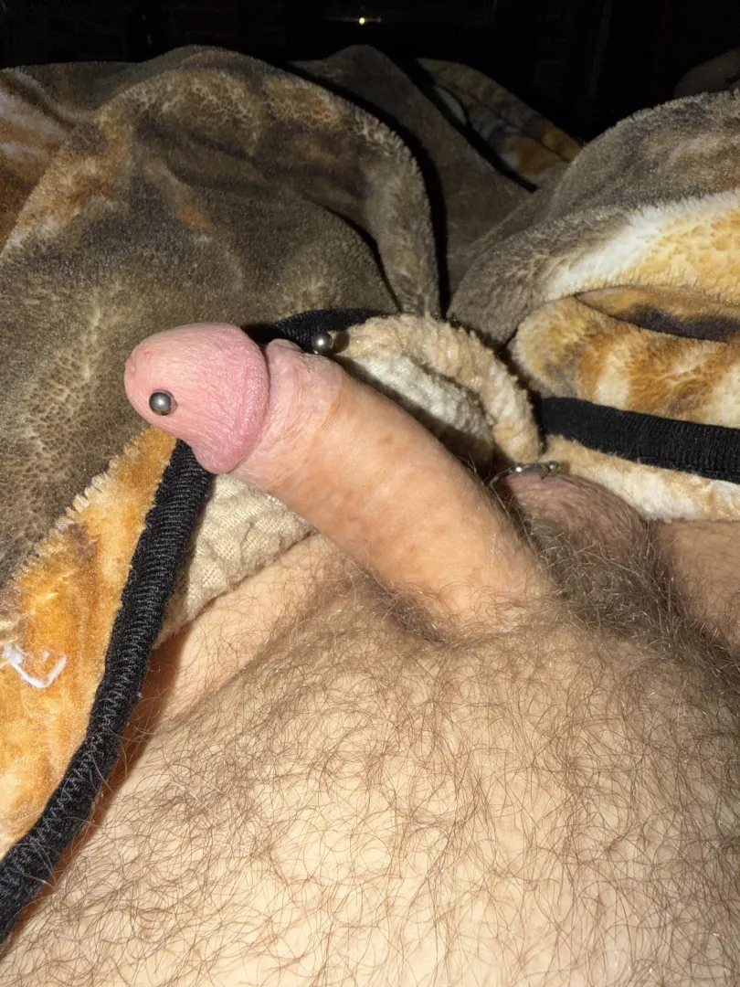 Morning wood posted by Brilliant-Limit-9960