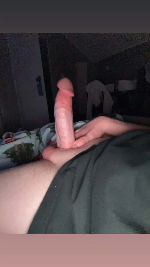 Morning wood posted by SimilarAssist8732