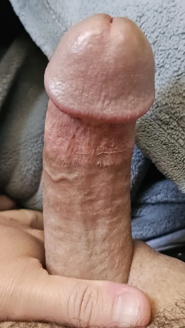 Morning wood posted by Gullible_Reserve2912