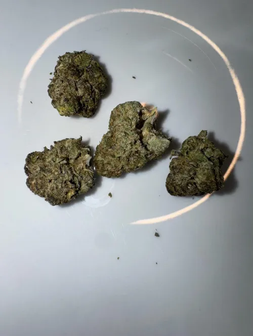 Motorbreath by Present_Session_1801