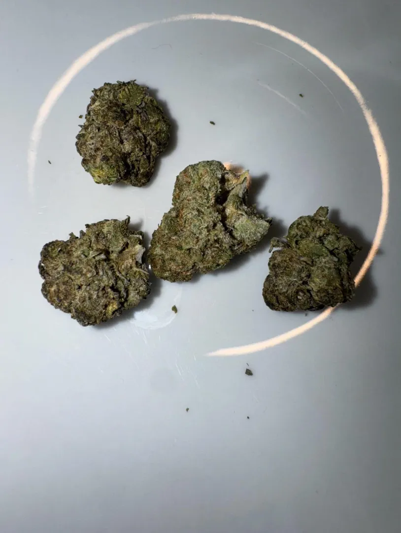 Motorbreath posted by Present_Session_1801