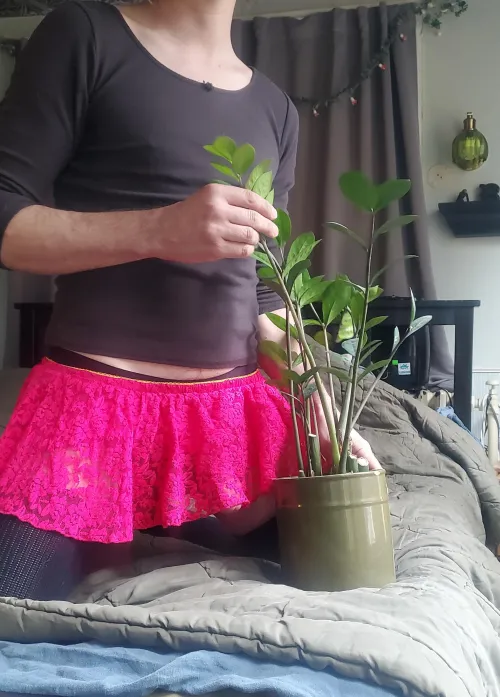 Much new growth on this zizi, just needed a little bit of TLC by Glad-Maybe2214