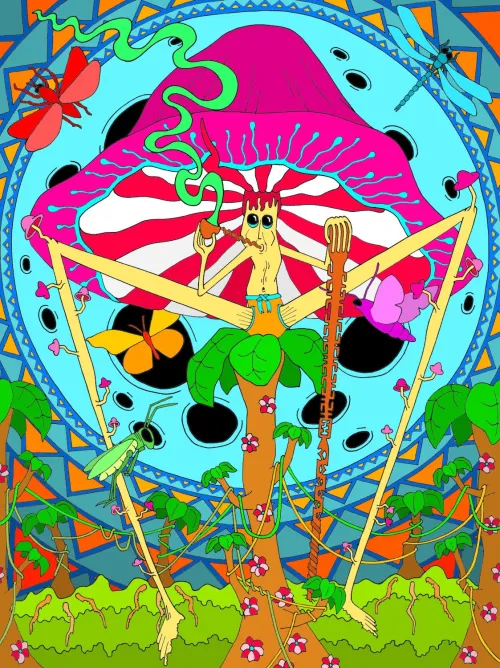 Mushroom King, a digital drawing I made by BazaarMonk