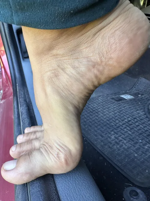 My arche  by Sophie_100usd