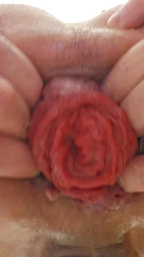 My biggest ever. by Canadian_FWB