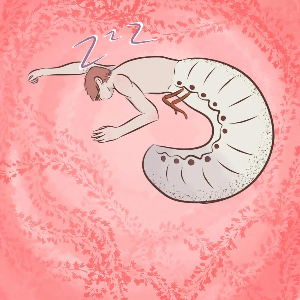 My boy Helix taking a nap. posted by LadyUnspoken