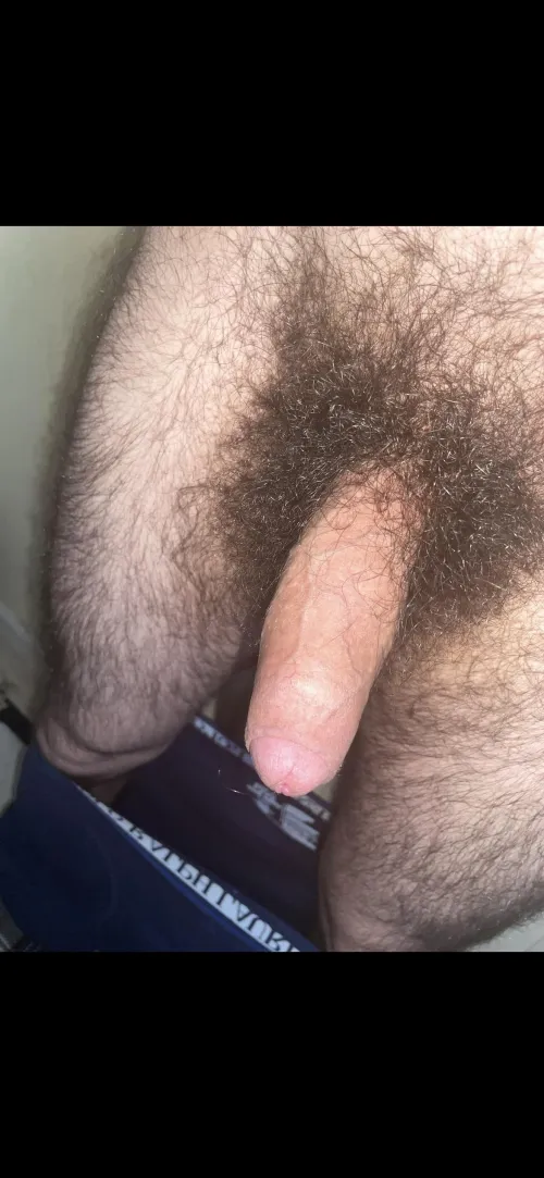 My bright bush by hig805