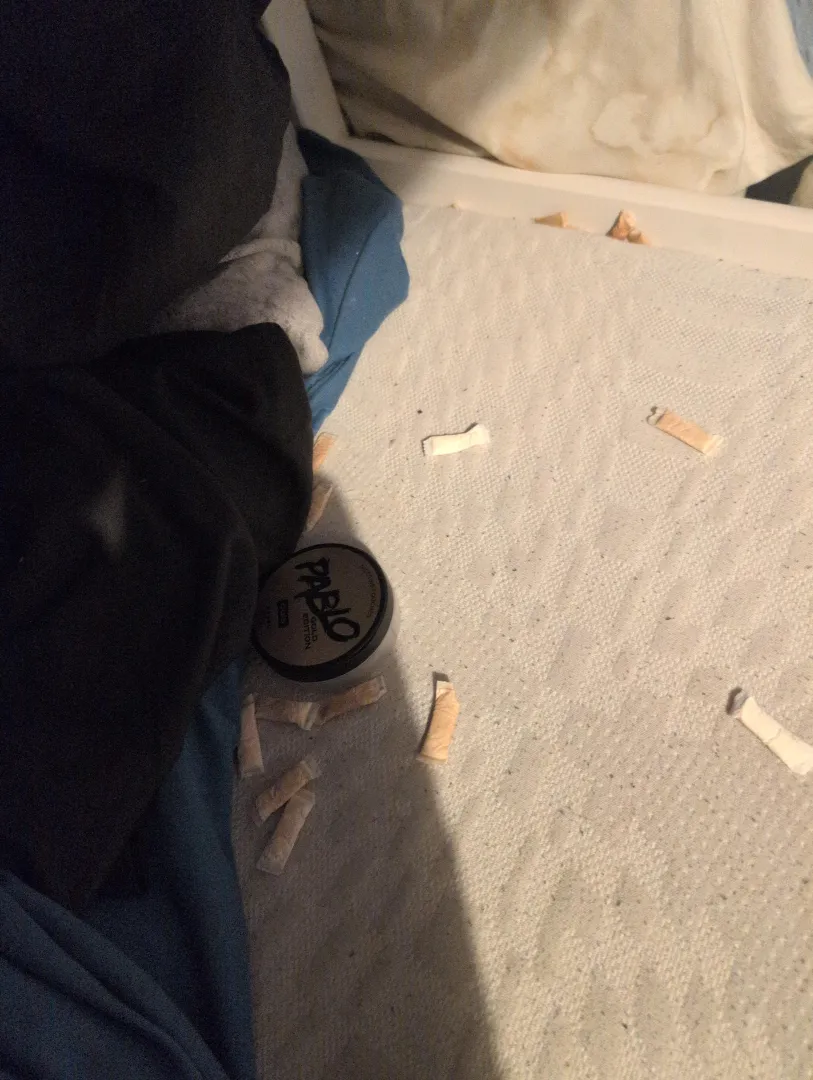 My brother doesn't put the velos in the bin  posted by JamieHBrown