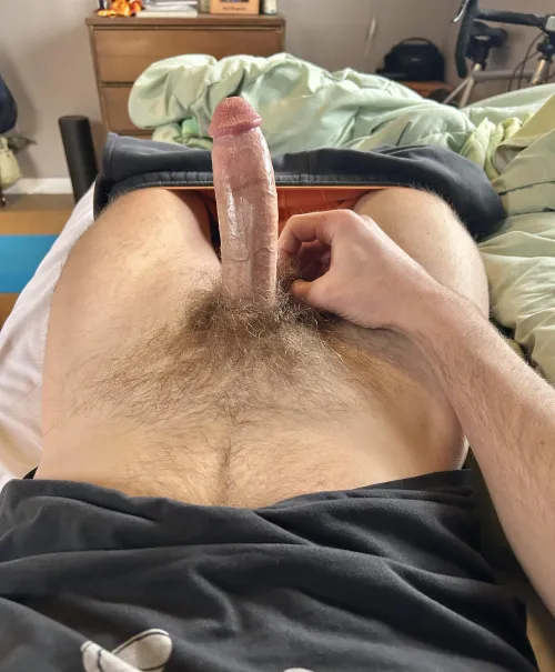 My bush by Hot-Homework-9158