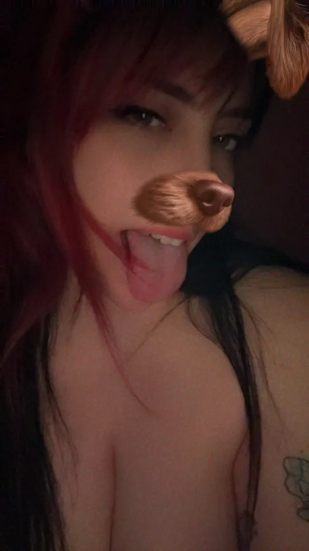 my cheap page has NO paywall ;) bark posted by petal-pout