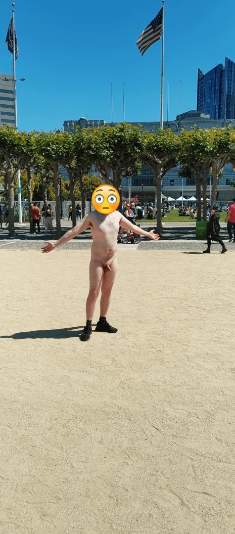 My city chose me as one of the first men to test EMN laws on. It's humiliating having to walk around a crowded city totally naked... posted by Loves2benude