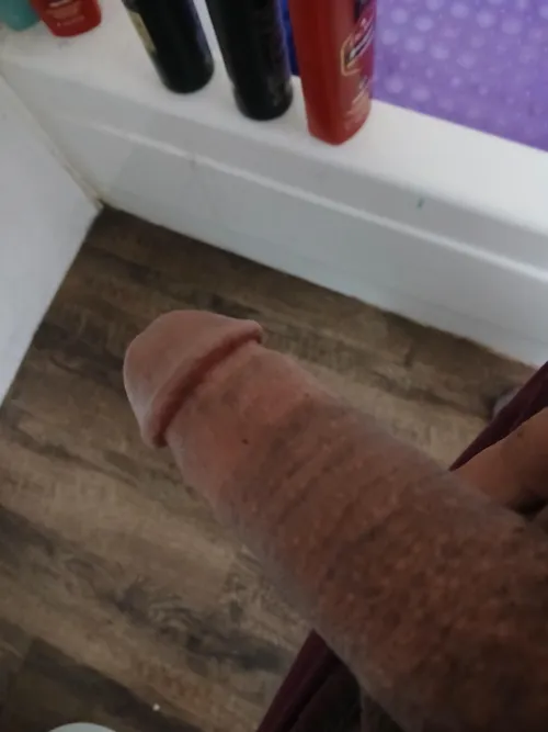 My cock  by Independent_Map_4442