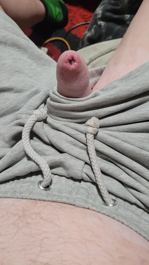 My cocks just popped out to say hello. Grey shots. by LegitimateAnt3655